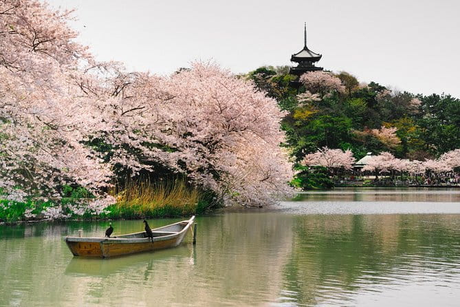 Private Yokohama Family Tours With Local Guides 100% Personalized - How to Book Your Private Tour