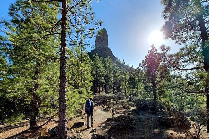 Professional climbing guide - FAQs