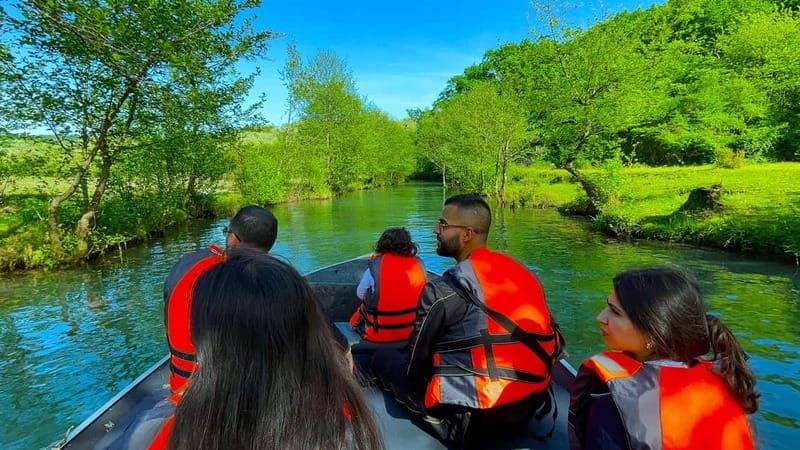 Prometheus Forrest Boat Tour - Key points / Takeaways