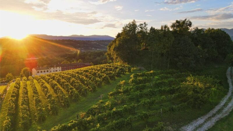 Prosecco Hills: Lovely Tasting Night - Final Thoughts