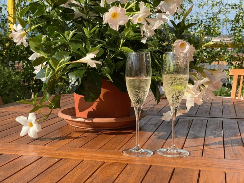Prosecco Hills Private Tour All inclusive. 2 wineries+lunch - Key points / Takeaways