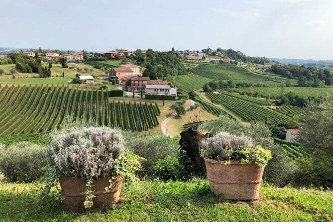 Prosecco Hills Wine and Cheese Gourmet Discovery by Yellowboot - Frequently Asked Questions