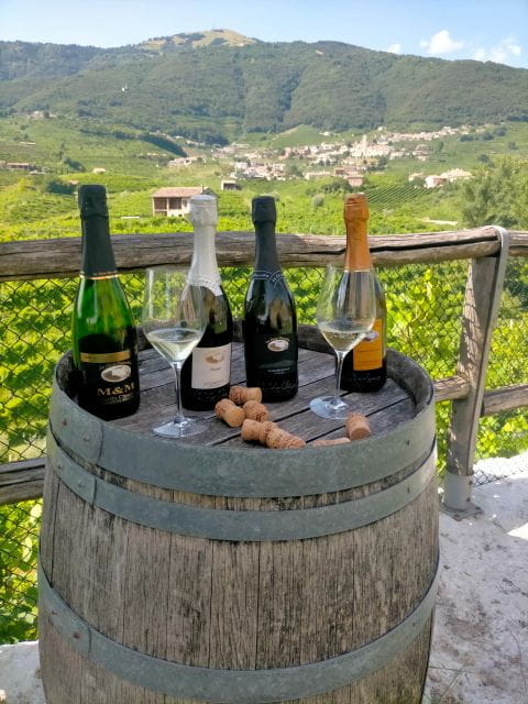 Prosecco Wine Tasting Tour. Half Day. From Venice - Price and Value