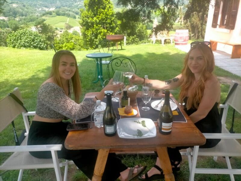 Prosecco Wine Tour. Full Day - 2 Wineries. From Venice - Entering the World of Prosecco: What to Expect