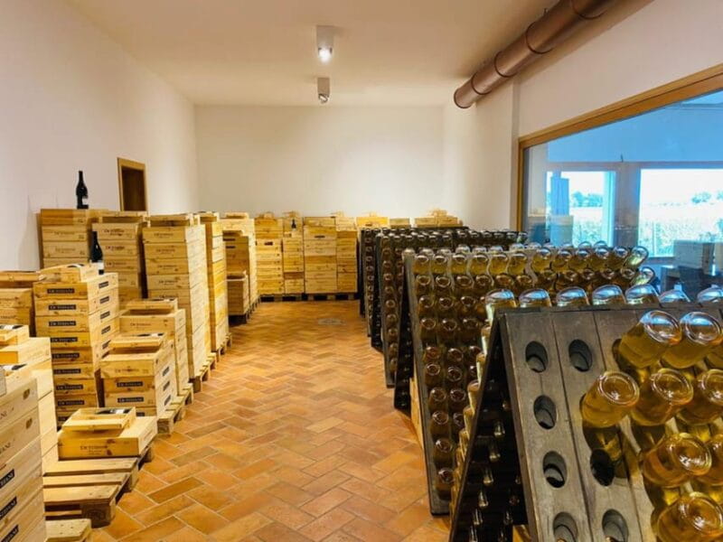 Prosecco Winery Tasting with Food Pairing near Venice - Key Points / Takeaways