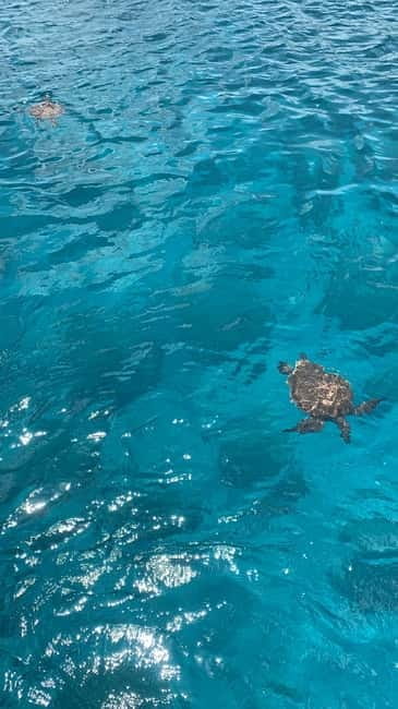 Protaras: Adults Only Luxury Yacht with BBQ and 1 Drink - Final Thoughts