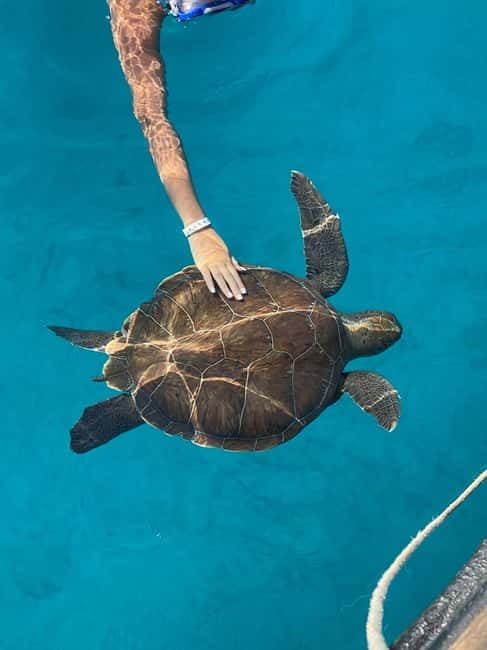 Protaras: Blue Lagoon and Turtles Pirate Cruise - Exploring the Coastal Highlights of Cyprus