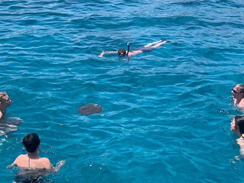 Protaras: DREAM of TURTLES | Luxury Yacht | BBQ | 1 Drink - A Deep Dive into the Yacht Cruise Experience