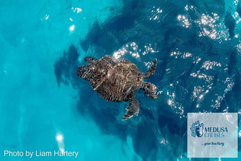 Protaras: Medusa Chill-Out Cruise to Blue Lagoon & Sea Caves - What To Expect During the Stops