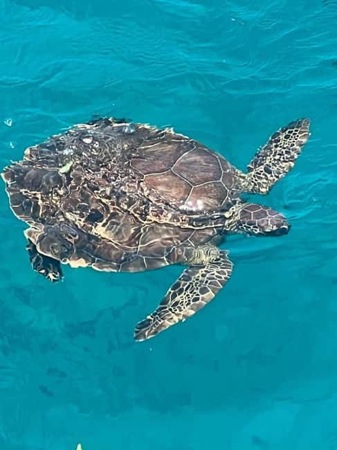 Protaras: Waterworld Turtle Cove Cruise with Swim Stops - Who Should Consider This Cruise?
