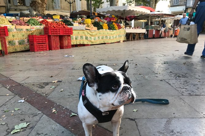 Provençal Farmers Market Tour - Logistics