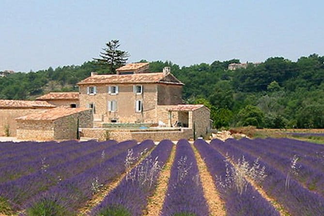 Provence and Lavender - private & Guided Full Day Tour - Key Points / Takeaways