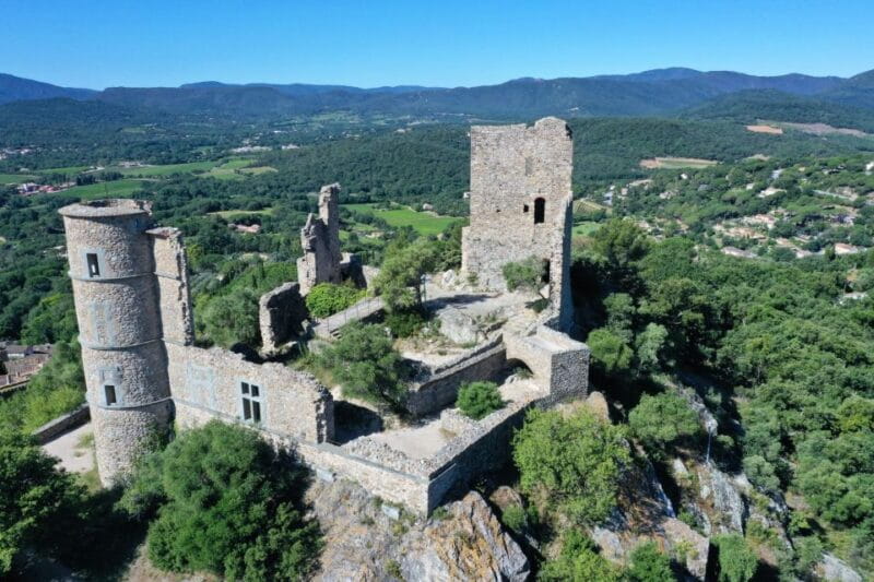 Provence Day, Saint Tropez Grimaud village Wine tasting - Who Will Enjoy This Tour Most?