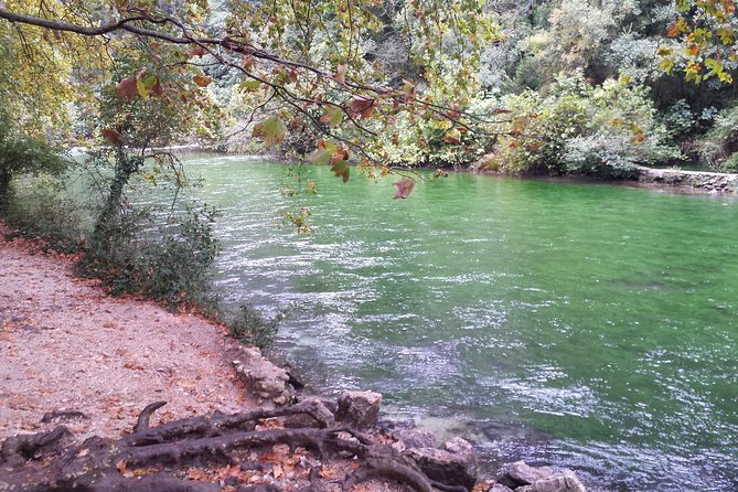 Provence Highlights Full-Day Tour From Avignon - Traditional Provencal Towns