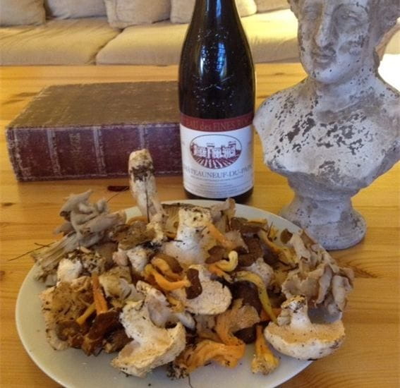 Provence: Mushroom Hunting With Outdoor Breakfast - Meeting Point