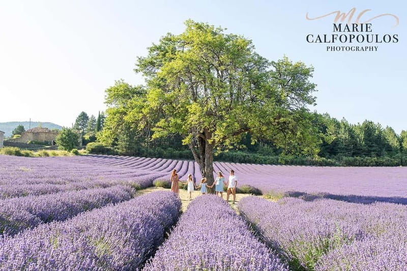 Provence: Private photoshoot by a professional photographer - The Logistics and Practical Details