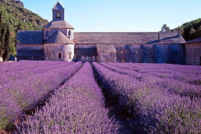 Provence Sea & Countryside Full-Day Private Tour - Discovering the French Riviera’s Gems in Just One Day