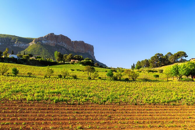 Provence Small Group Wine Full Day Tour in Chateauneuf Du Pape Vineyard From Aix - Participant Age and Health Requirements