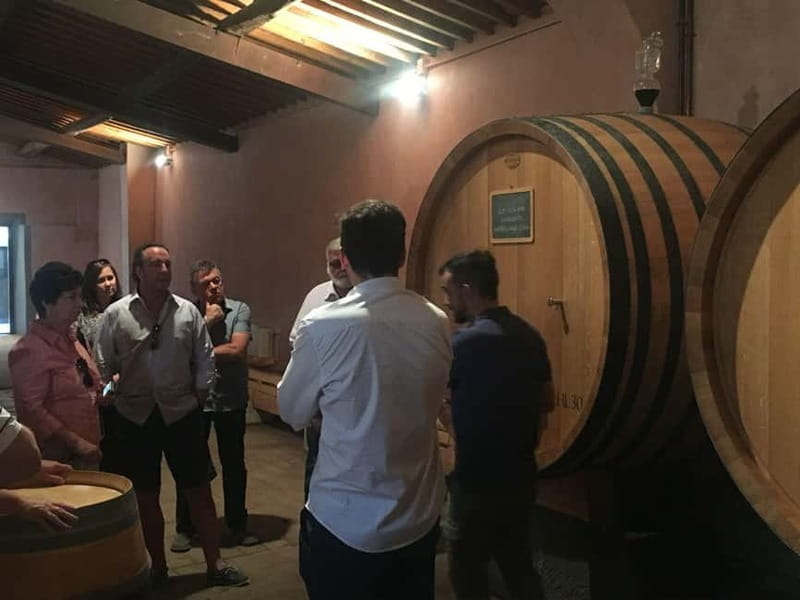 Public Tour of Pompeii Excavations: Wine and Cheese Tasting and Lunch - Key Points / Takeaways