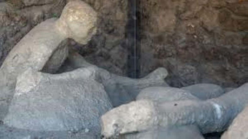 Public Tour of Pompeii Excavations: Wine and Cheese Tasting and Lunch - Frequently Asked Questions
