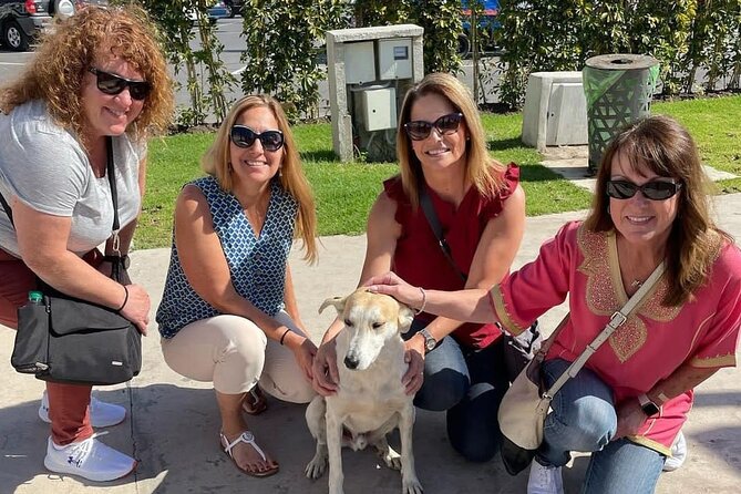 Public Walking Tour in Tangier Medina and Souks - Highlights
