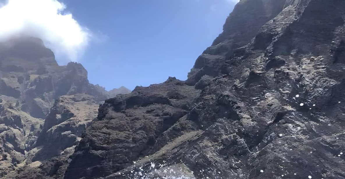 Puerto Colon: Dolphin & Whale Watching Cruise W/ Masca Stop - Spotting Marine Wildlife