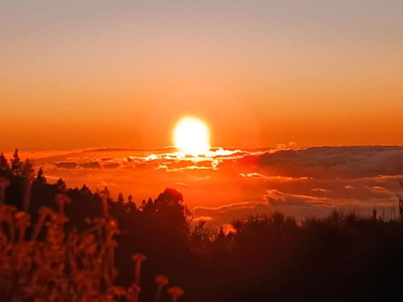 Puerto Cruz: VIP Teide Sunset & Stars, Guachiche Lunch+Cava - Who is This Tour Best For?