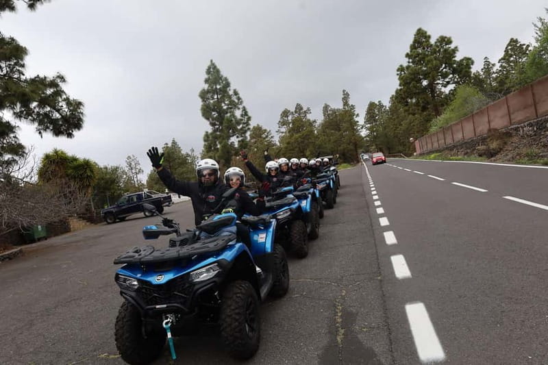 Puerto de la Cruz: Quad Trip Teide National Park - Who Will Love This Tour?