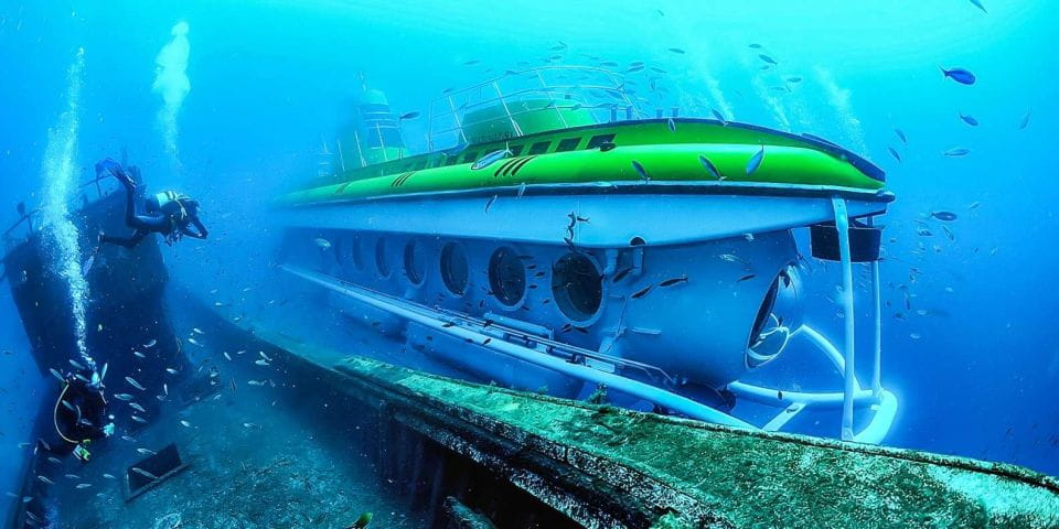 Puerto De La Cruz: Submarine Trip and Beach Stop in Tenerife - Marine Life Viewing