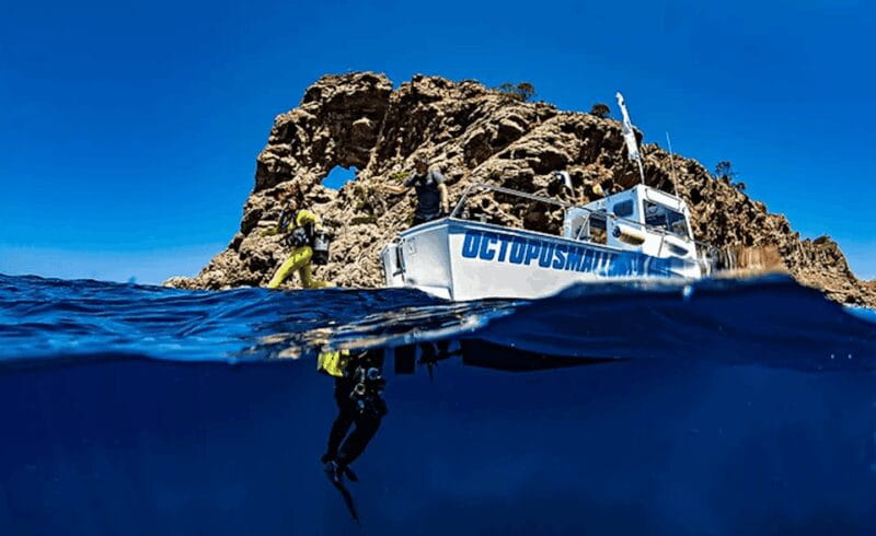 Puerto de Soller: Train and Discover Scuba Diving - Dive Sites and Suitability for All Levels