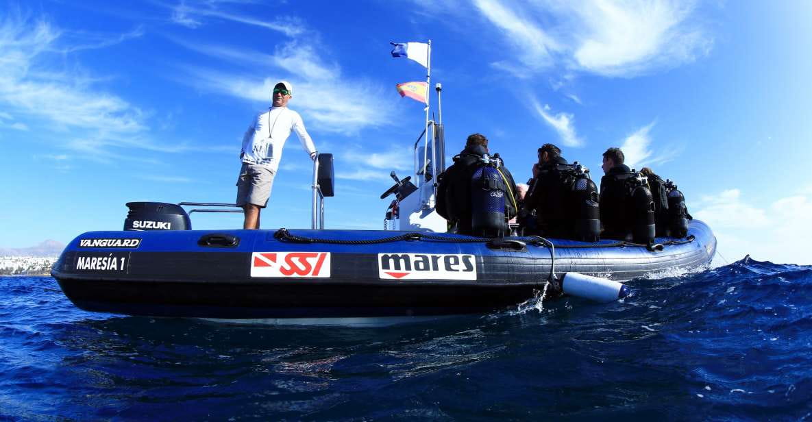 Puerto Del Carmen: Guided Scuba Dive (Certified Only) - Dive Highlights