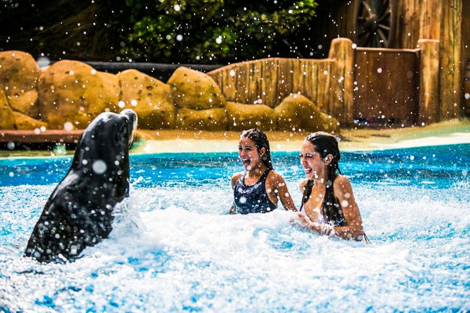 Puerto Del Carmen: Rancho Texas Lanzarote Park Entry Ticket - Important Visitor Information