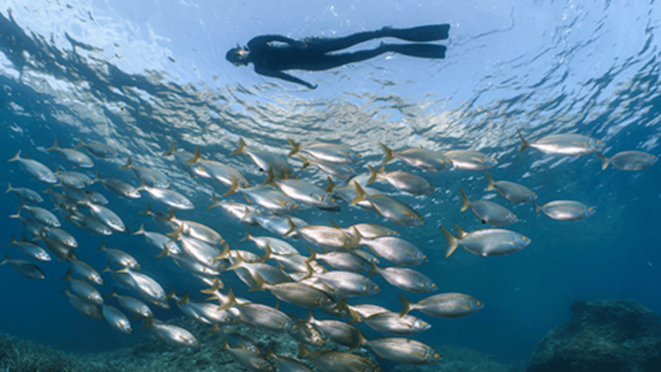 Puerto Del Carmen: Snokel Tour With an Instructor - Booking Your Snorkel Tour