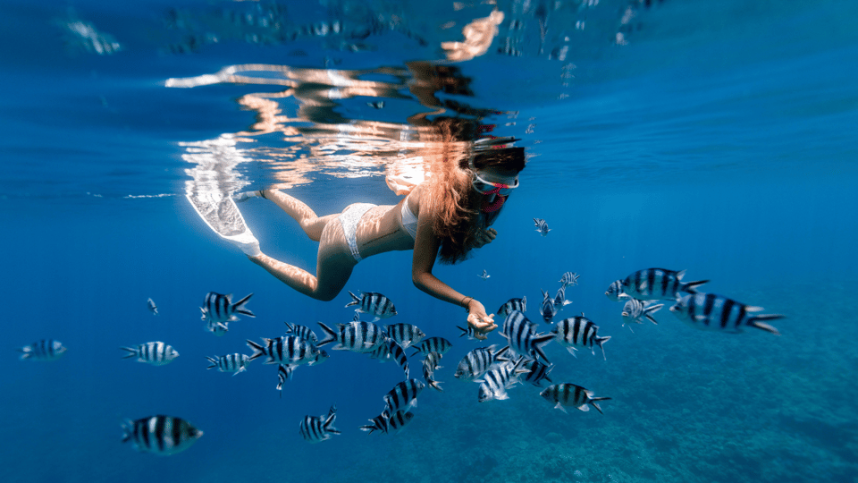 Puerto Del Carmen: Snokel Tour With an Instructor - Things To Know