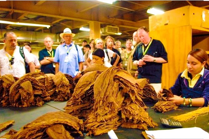 Puerto Plata City Tours - Tour Pricing and Cancellation