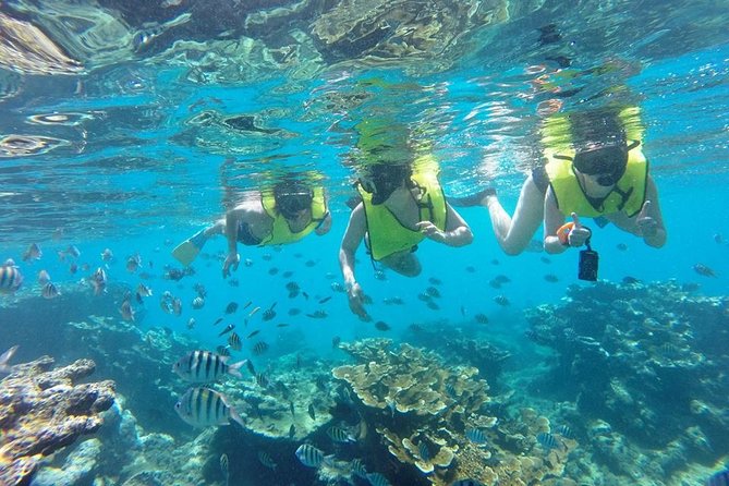 Puerto Plata Shore Excursion, Snorkeling Tour & Sosua Beach Day - Additional Information