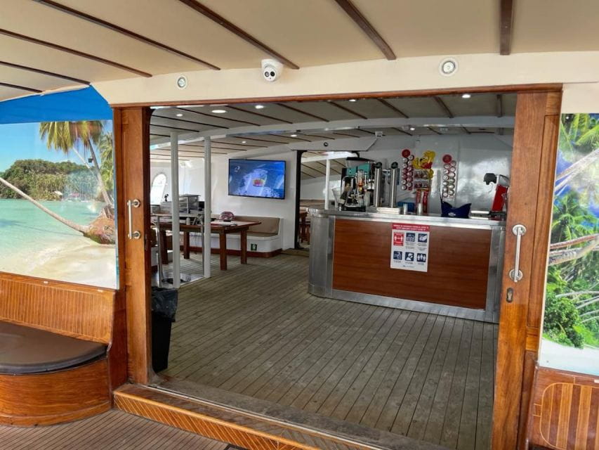 Puerto Rico : 2 Hour Dolphin Catamaran Excursion - Important Preparation Tips