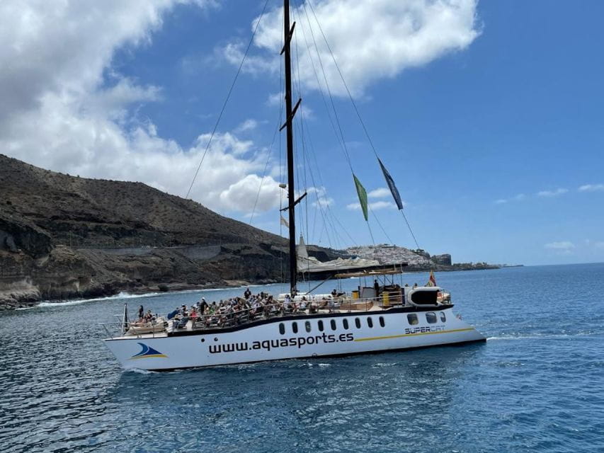 Puerto Rico : 2 Hour Dolphin Catamaran Excursion - Things To Know