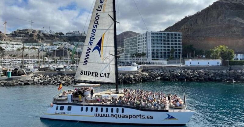 Puerto Rico de Gran Canaria: Premium Dolphin Catamaran Tour - Key points / Takeaways