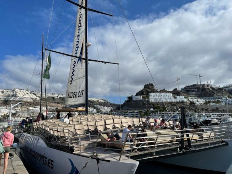 Puerto Rico de Gran Canaria: Premium Dolphin Catamaran Tour - Price and Overall Value