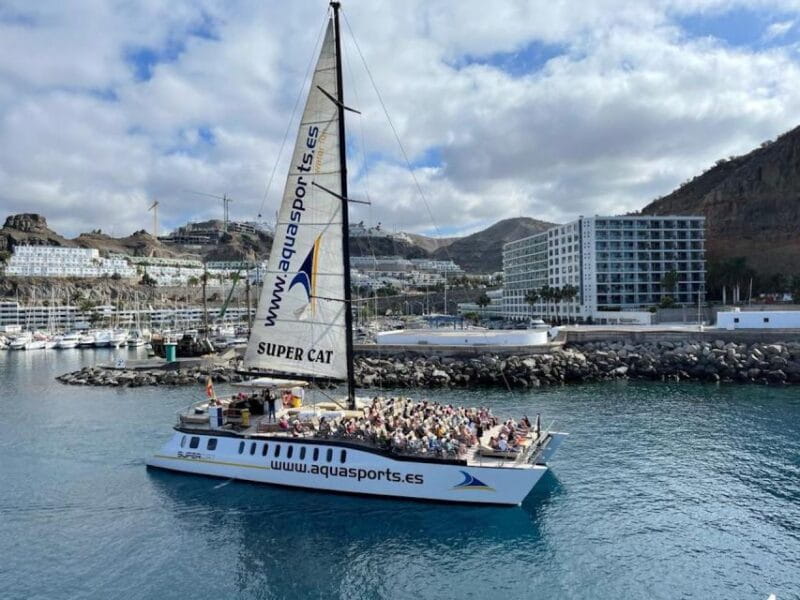 Puerto Rico de Gran Canaria: Premium Dolphin Catamaran Tour - Final Thoughts