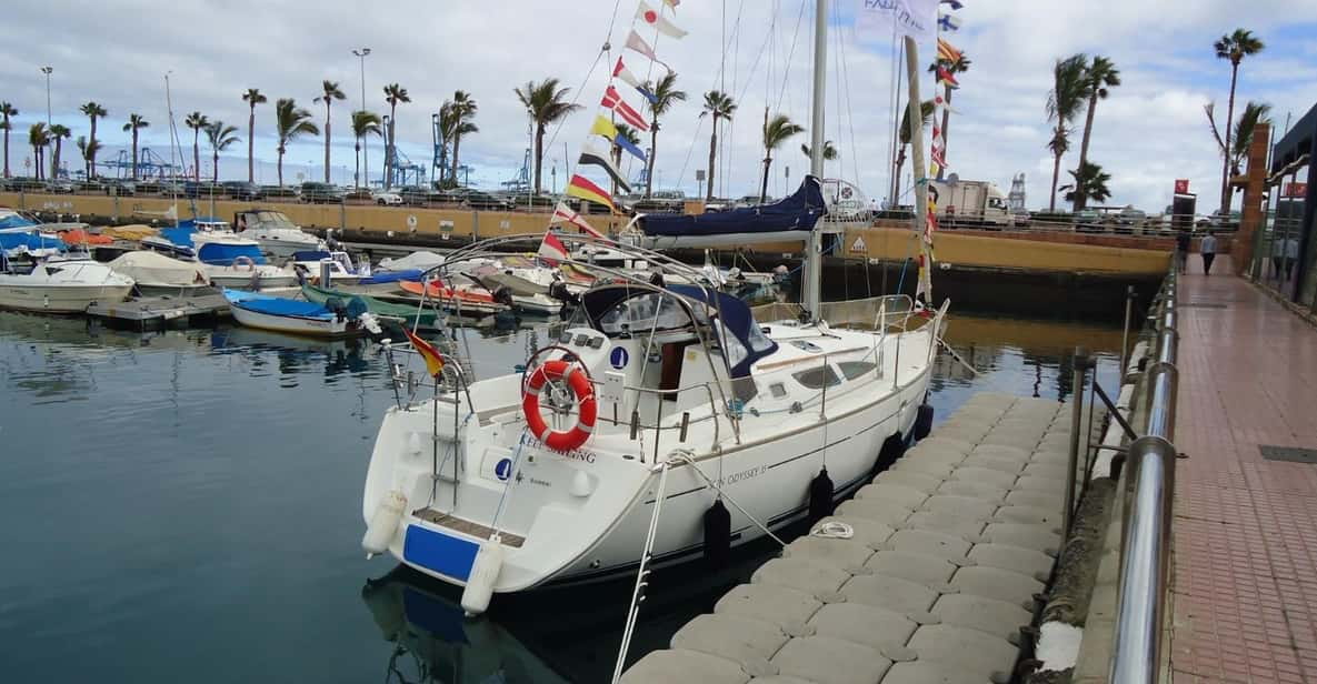 Puerto Rico: Sailing Excursion With Swim, Drinks and Tapas. - Island Scenery