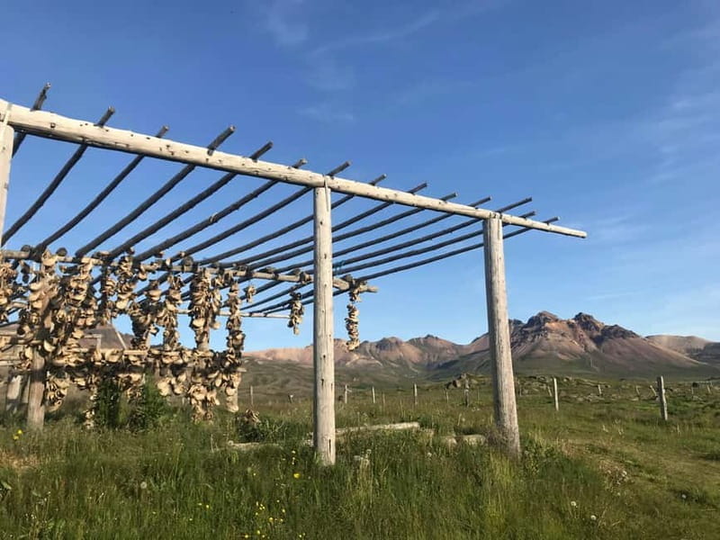 Puffin & Gufufoss Waterfall Tour from Seydisfjordur Port - FAQ