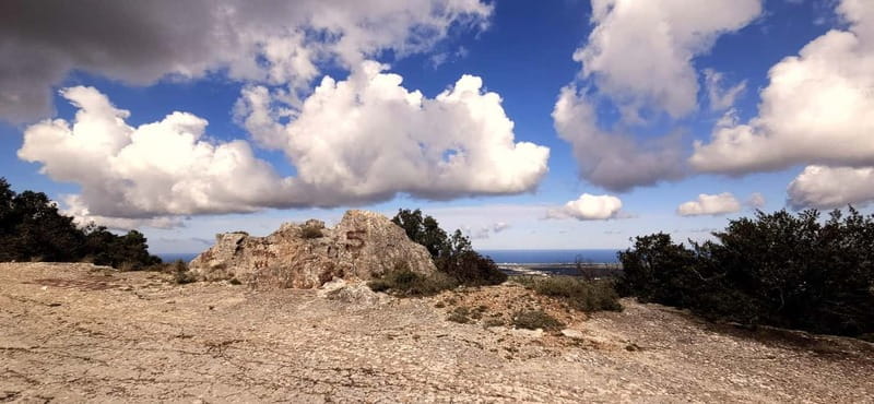 Puglia: Guided E-bike Tour from Coast or Countryside - The Sum Up