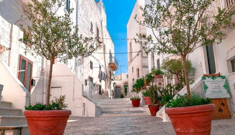 Puglia: Locorotondo, Cisternino, and Ostuni Private Tour - Price and Value