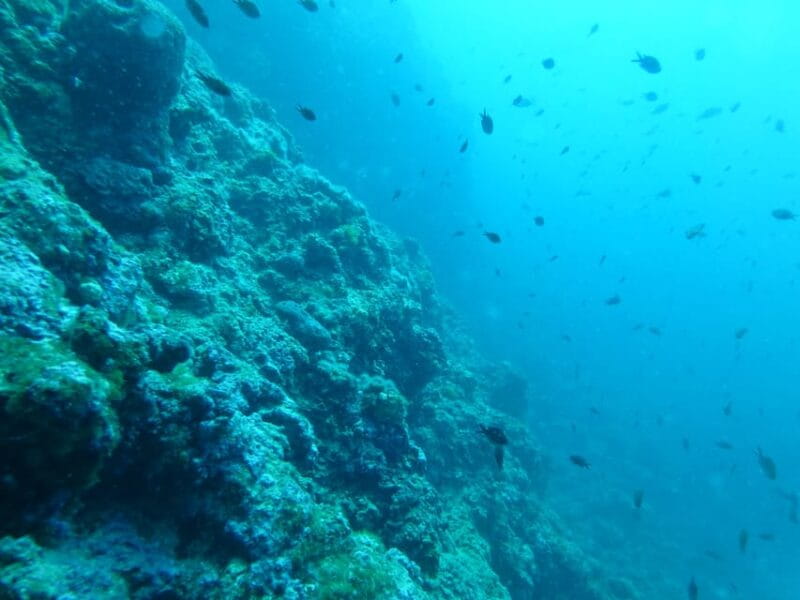 Pula: 2.5-Hour Snorkelling Experience - Who Is This Tour Best For?