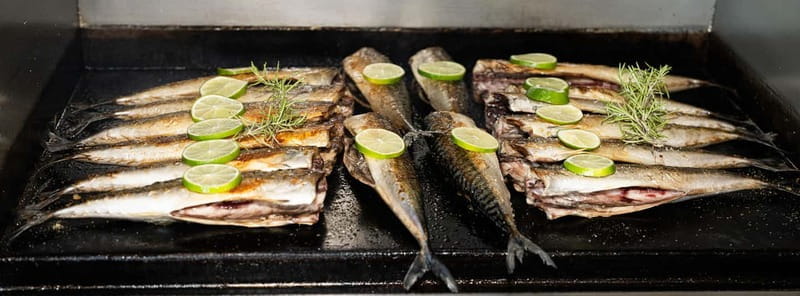 Pula: Brijuni Dolphin Watching cruise with Dinner & Sunset - Key points / Takeaways