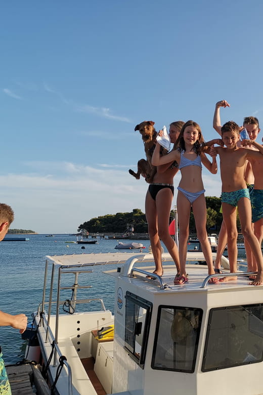 Pula Dolphin Watching Boat Trip - Discovering the Experience: A Deep Dive into the Dolphin Watching Tour