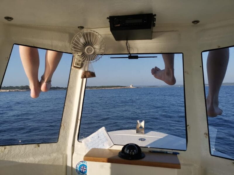 Pula Dolphin Watching Boat Trip - FAQ