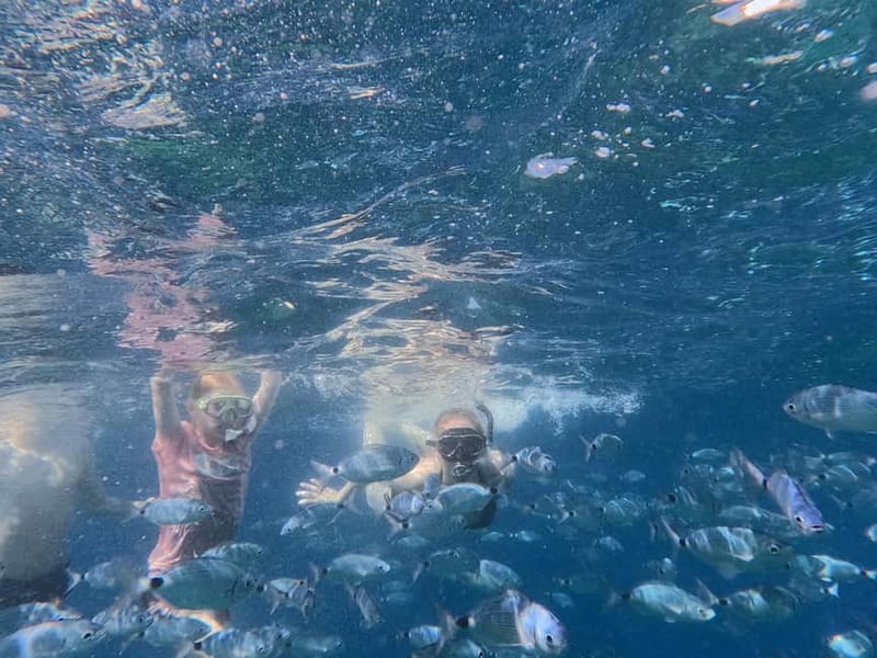 Pula: Half Day Sailing Experience with Drinks, GoPro, SUP - The Sum Up: Who Should Book This Sailing Adventure?